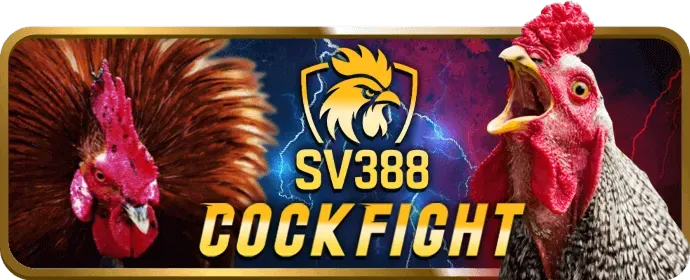 Ưu đãi chào mừng thành viên mới k8bet nổ hũ